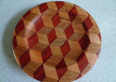 segmented plate